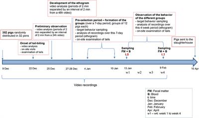 Association Between Tail-Biting and Intestinal Microbiota Composition in Pigs